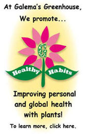 Healthy