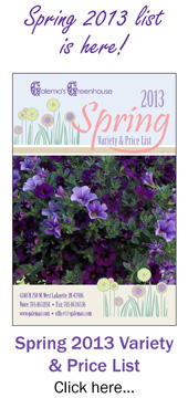 Cover2013