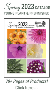 2023 Spring Catalog