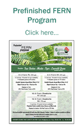 Prefinished Fern